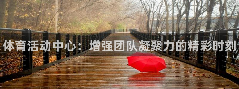 oety欧亿体育官网下载是干嘛的公司:体育活动中心:增强团队