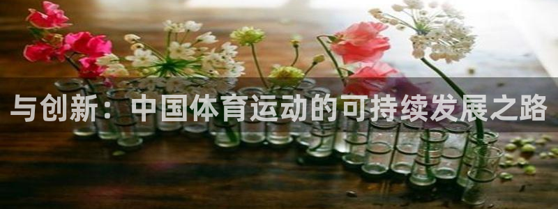 欧亿体育官方正版app娱乐首页网站大全:与创新:中国体育运动