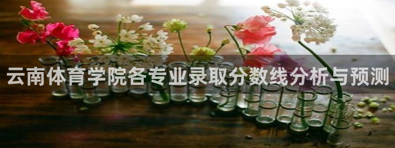 oety欧亿体育官网下载平台是正规平台吗知乎:云南体育学院各